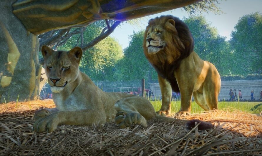 Planet Zoo sur console, ça donne quoi ?