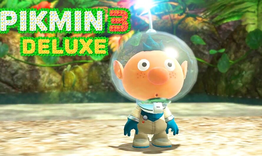 Nintendo et les portages, une grande histoire d&rsquo;amour