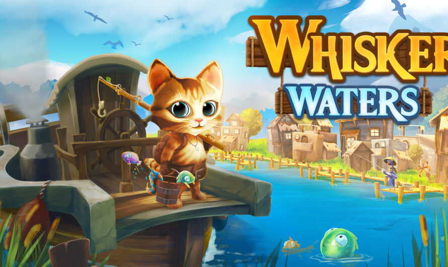 Test Whisker Waters : chat ne marche pas toujours