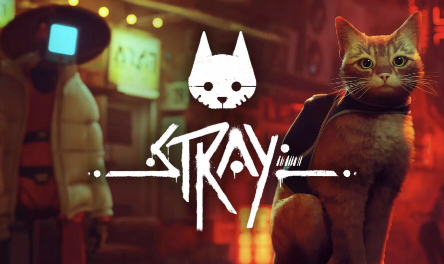 Avis Stray : passage sur la Switch validé